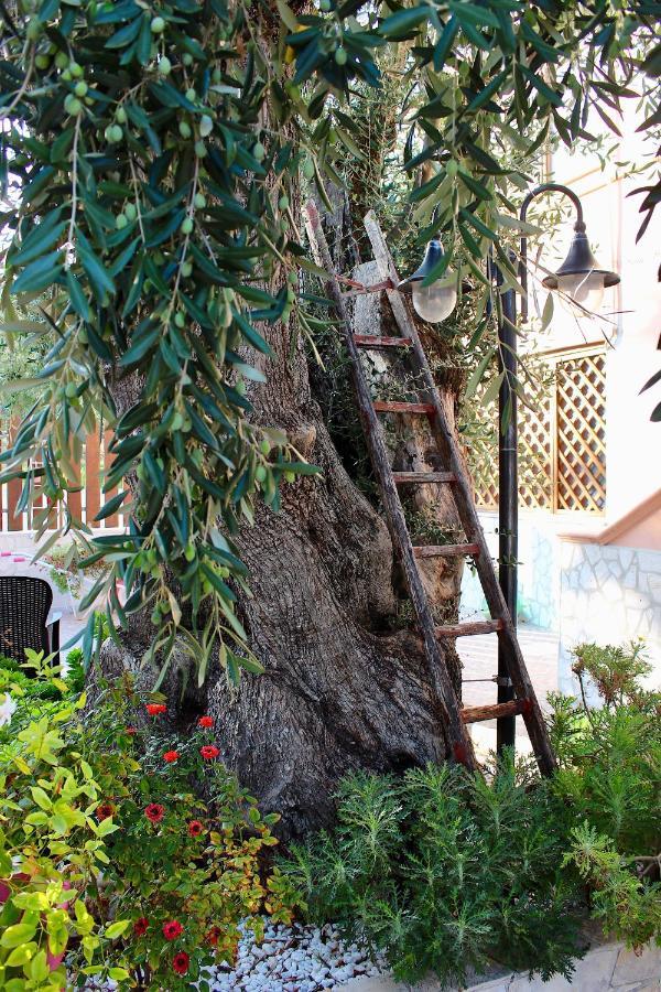 Villa Marchionna Vieste Dış mekan fotoğraf